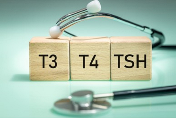 ТТГ, Т3, Т4, АТ к ТПО: расшифровка анализов на гормоны щитовидной железы