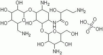 amikatsin3.gif