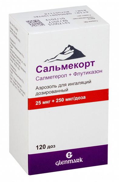 Сальмекорт аэрозоль для ингаляций дозированный 25 мкг 250 мкг ингалятор с распылителем 120 доз Сальмекорт