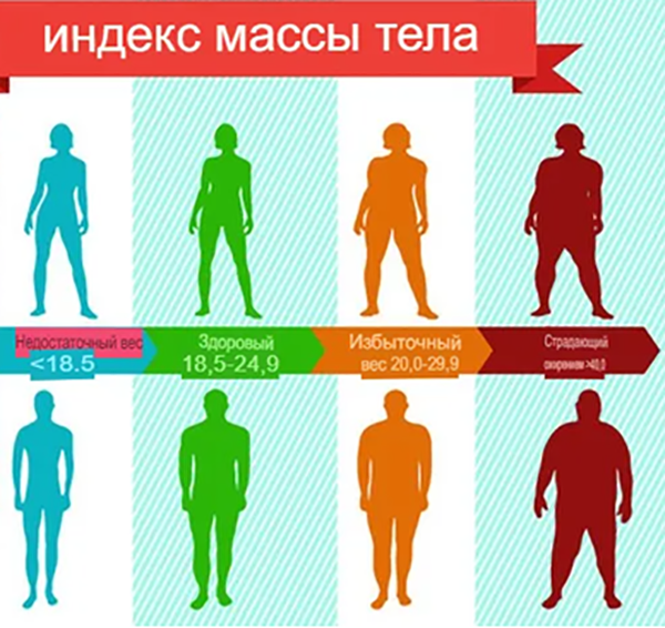 имт.png