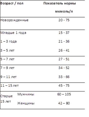 kr6.png