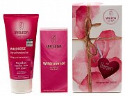 Weleda Набор Роза маскета