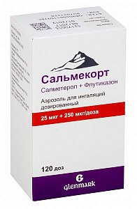 Сальмекорт аэрозоль для ингаляций дозированный 25 мкг/250 мкг ингалятор с распылителем 120 доз