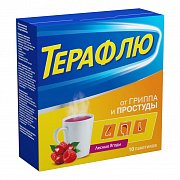 ТераФлю порошок для приготовления раствора для приема внутрь пакетики 10 шт. Лесные ягоды ТераФлю