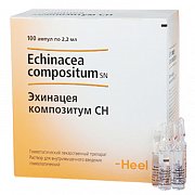 Эхинацея композитум СН раствор для внутримышечного введения ампулы 2,2 мл 100 шт. Эхинацея композитум СН раствор для внутримышечного введения ампулы 2,2 мл 100 шт.