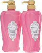 Roland Набор: Восстанавливающий шампунь 550 мл, Кондиционер для блеска 550 мл