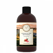 Fiori Dea Шампунь Защита цвета и восстановление с экстрактом граната 500 мл