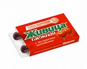Живица Таежная Резинка жевательная Шиповник 5 г 5 шт. Живица Таежная Резинка жевательная Шиповник 5 г 5 шт.