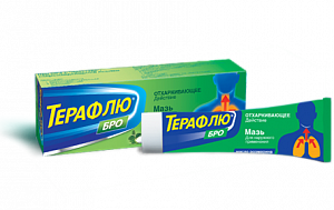 Терафлю Бро мазь для наружного применения 40 г