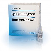 Лимфомиозот раствор для внутримышечного введениягомеопатический ампулы 1,1 мл 100 шт. Лимфомиозот раствор для внутримышечного введениягомеопатический ампулы 1,1 мл 100 шт.